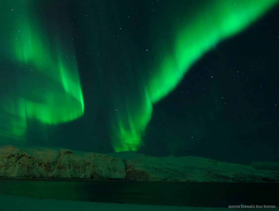 Malvaviscos torrant-se a la foguera en el tour amb sopar d'aurores boreals de Tromsø