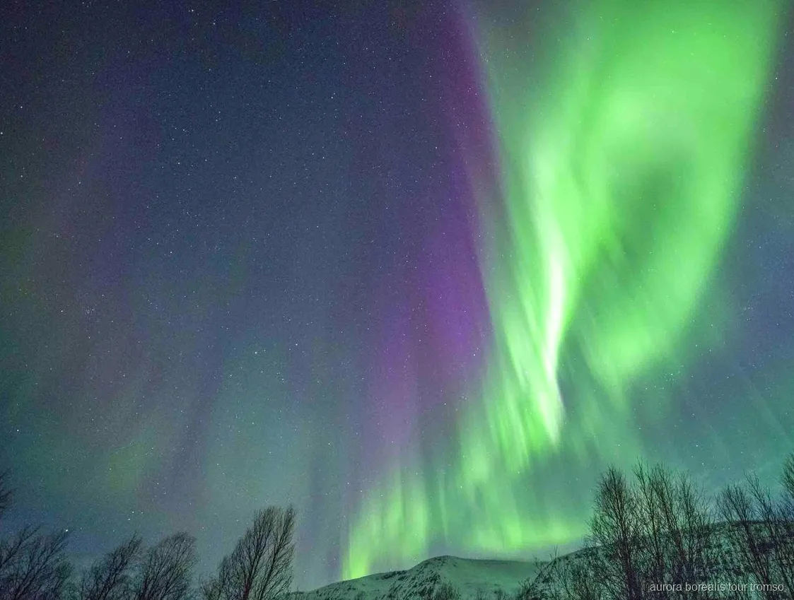 Cena caliente junto a la hoguera en el tour de auroras boreales de Tromsø