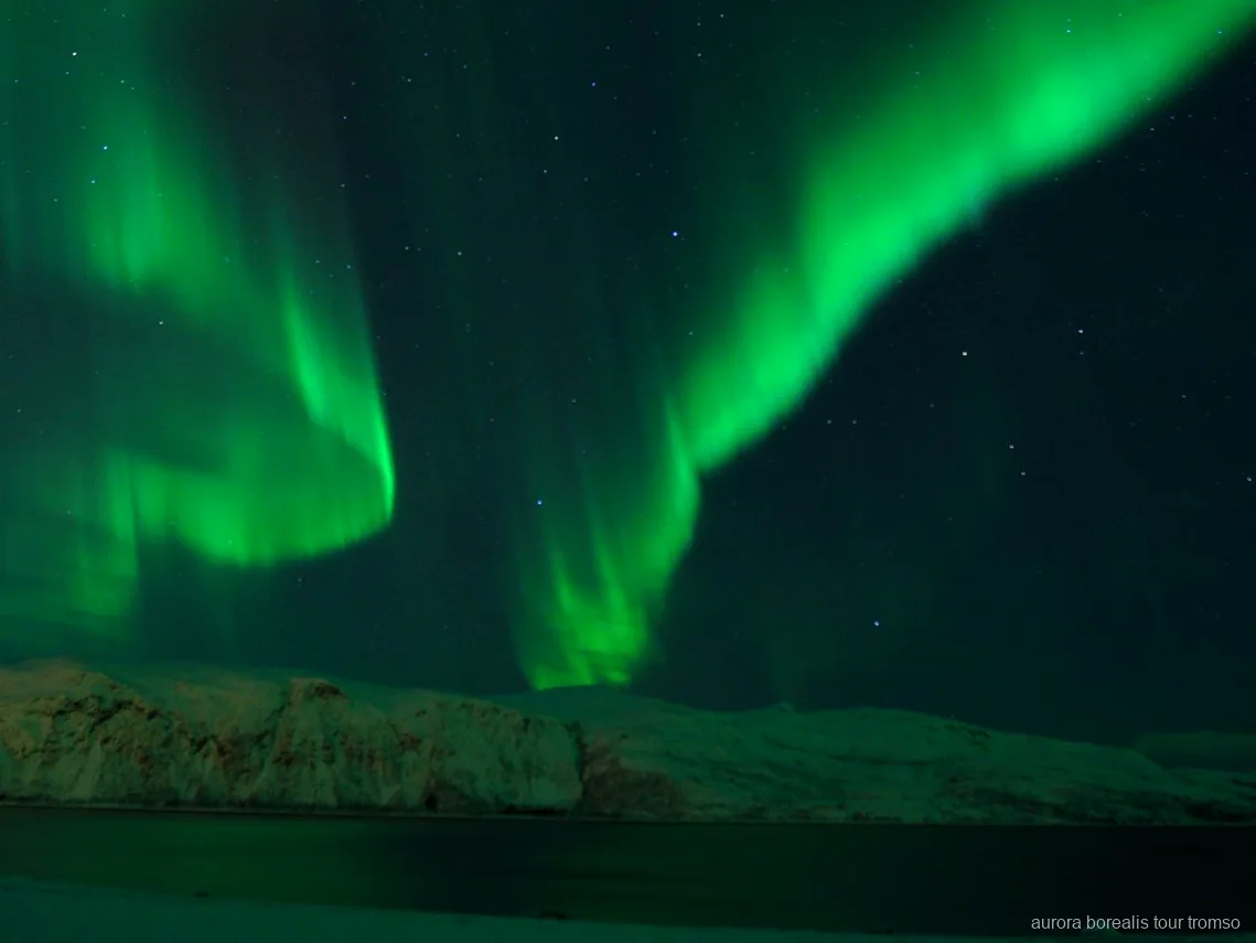 Nubes de azúcar asándose en la hoguera del tour de auroras boreales de Tromsø