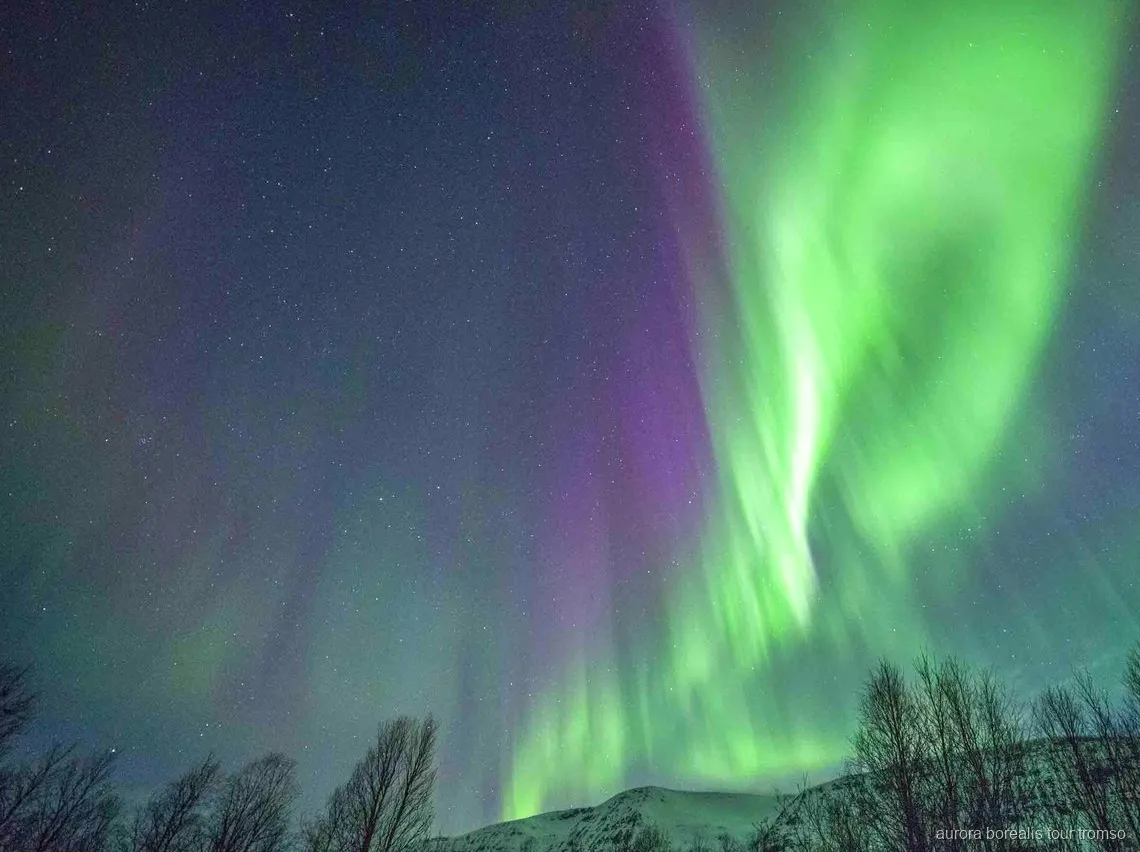 Ospiti che gustano una cena calda attorno al falò sull'escursione per l'aurora boreale a Tromsø