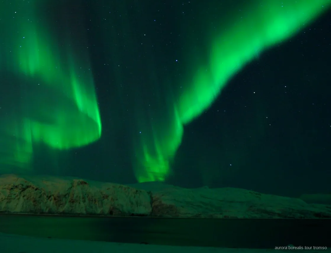 Marshmallow arrostiti sul fuoco durante l'escursione con cena per l'aurora boreale a Tromsø