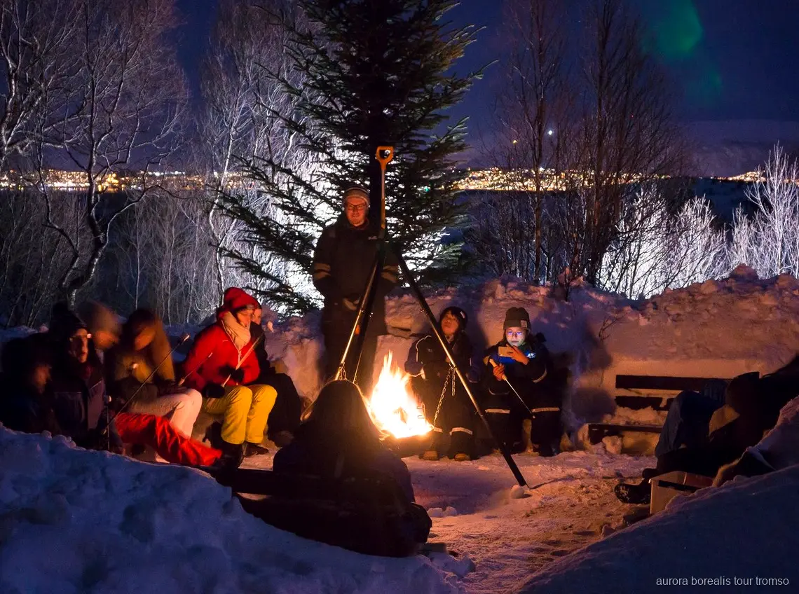 Cadells de husky al campament que apareix al tour d'aurores boreals de Tromsø