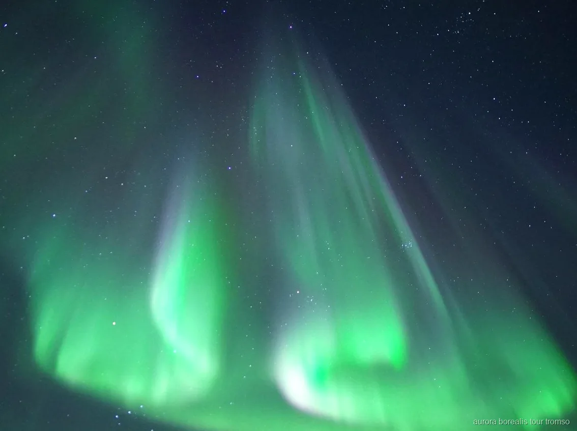 Convidados no convés observando a aurora boreal no cruzeiro noturno de Tromso