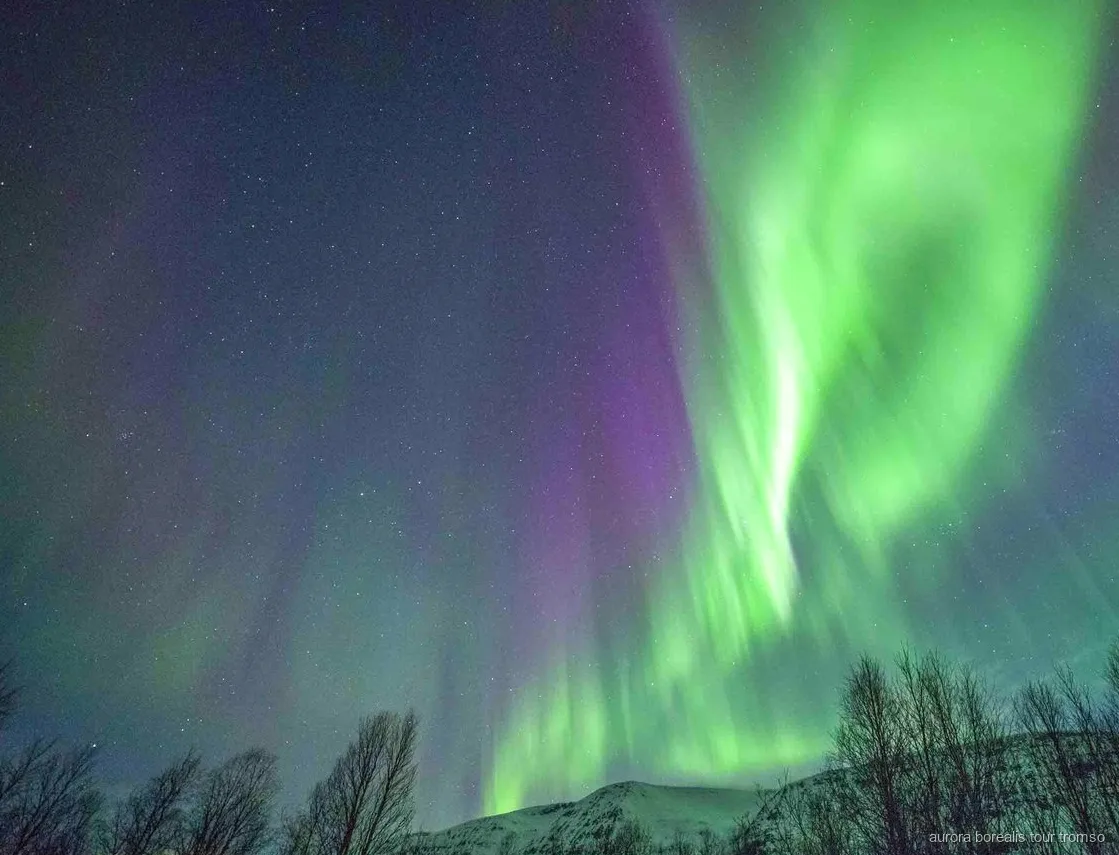 Gäster som njuter av en varm middag runt lägerelden på Tromsø norrskenmiddagstur