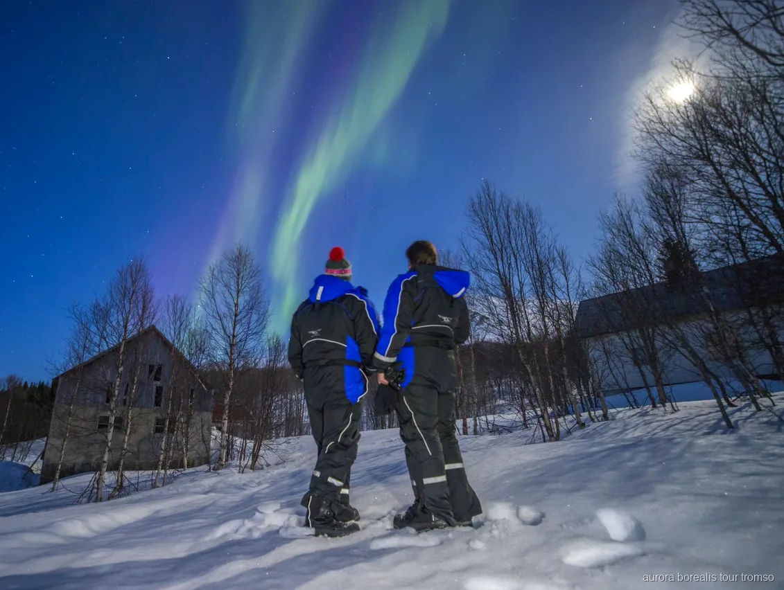 Noorderlicht gezien vanaf het basiskamp tijdens de Tromso glazen bus tour