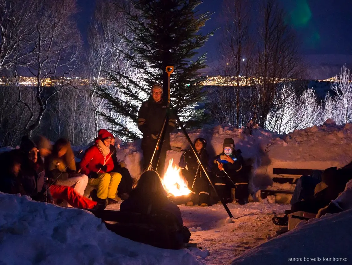 Husky-Welpen im Camp der Tromsø Nordlichter-Tour