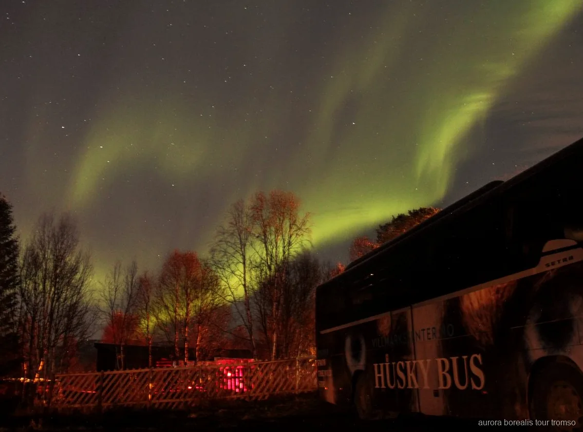 Varm bacalaomiddag serverad vid Tromsø huskygård