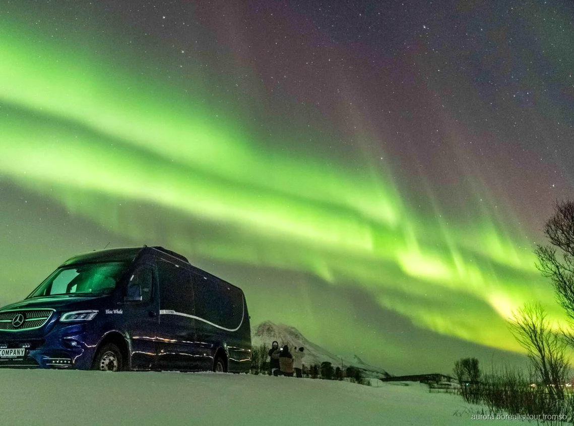 Gæster i termodragter venter på nordlyset nær Tromsø
