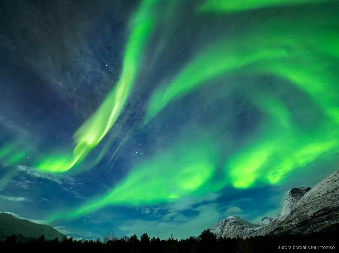 Noorderlicht vastgelegd tijdens de Tromso noorderlicht fototour