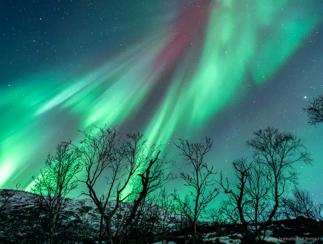 Gäste fotografieren die Nordlichter mit Anleitung nahe Tromsø
