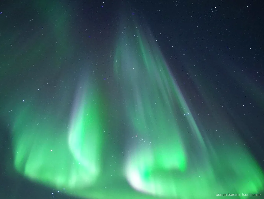 Gäster på däck som spanar efter norrsken på Tromsø kvällskryssning