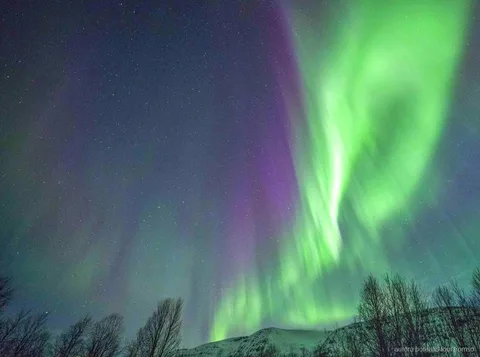 Convidados a desfrutar de um jantar quente junto à fogueira no tour de aurora boreal em Tromso