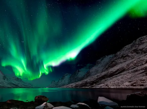 Guia a servir bebidas quentes e bolo caseiro no tour familiar de aurora boreal em Tromso