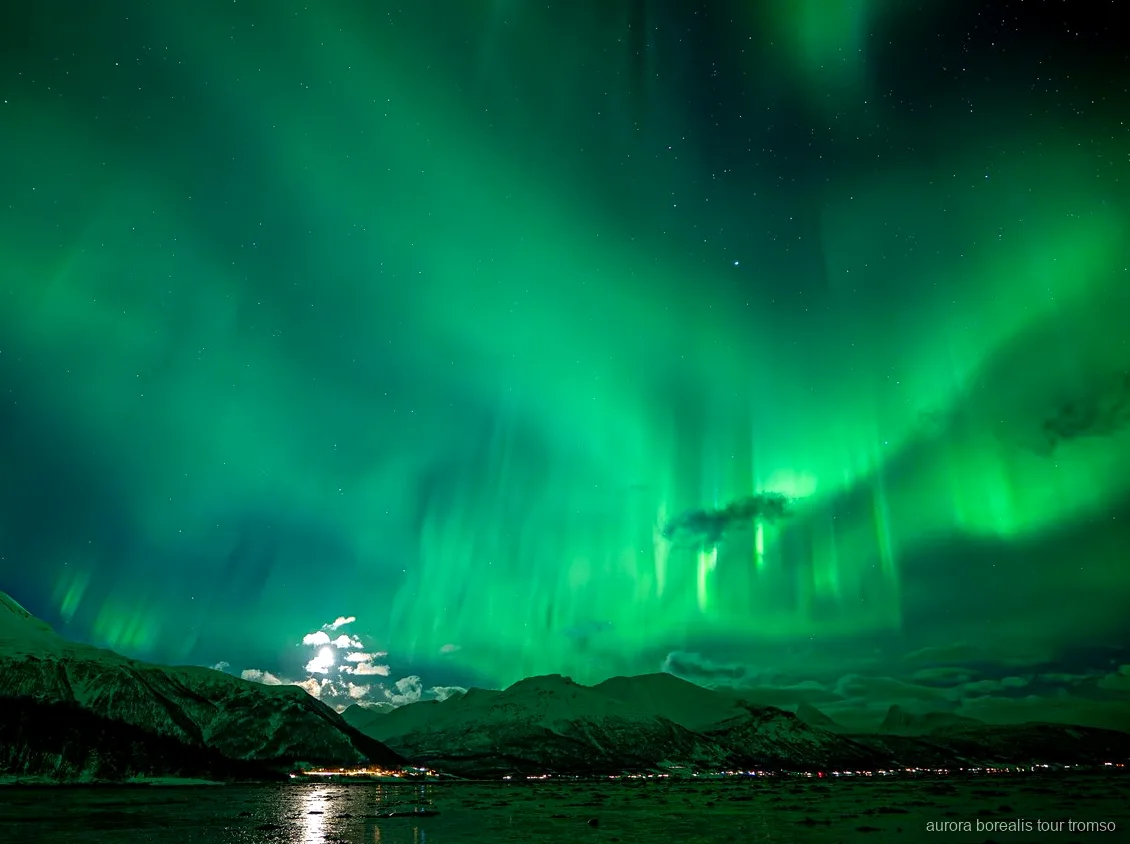 Retrat fet sota l'aurora boreal en el tour familiar en minibús de Tromsø
