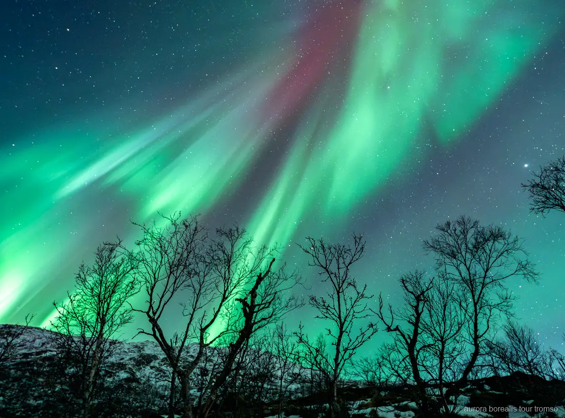 Convidados a fotografar a aurora boreal com instrução do guia perto de Tromso