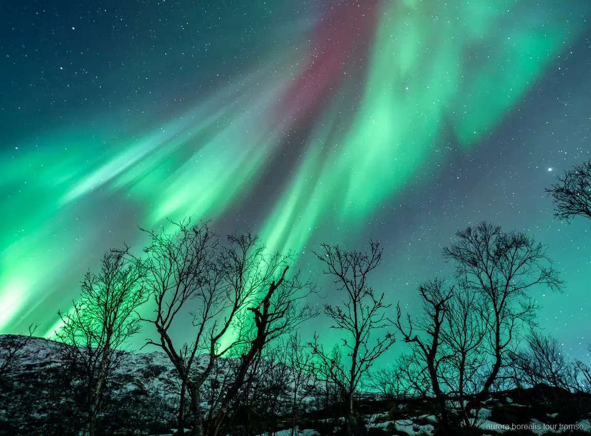 Ospiti che fotografano l'aurora boreale con l'istruzione della guida vicino a Tromsø