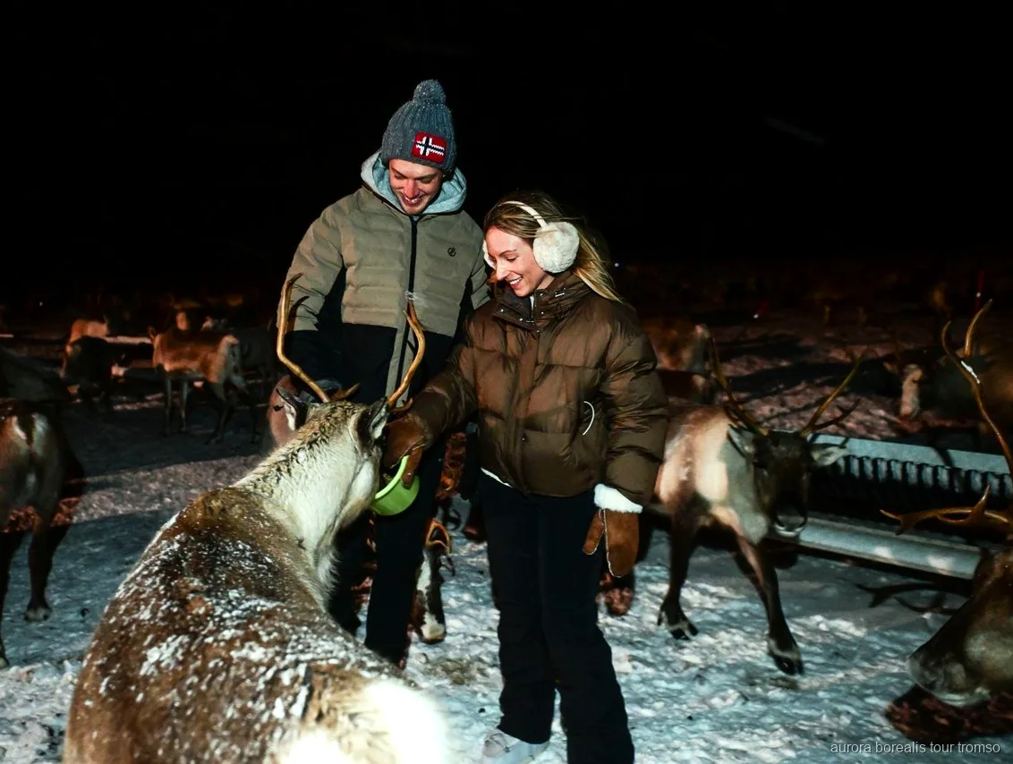 Guia sami a interpretar um joik junto à fogueira perto de Tromso