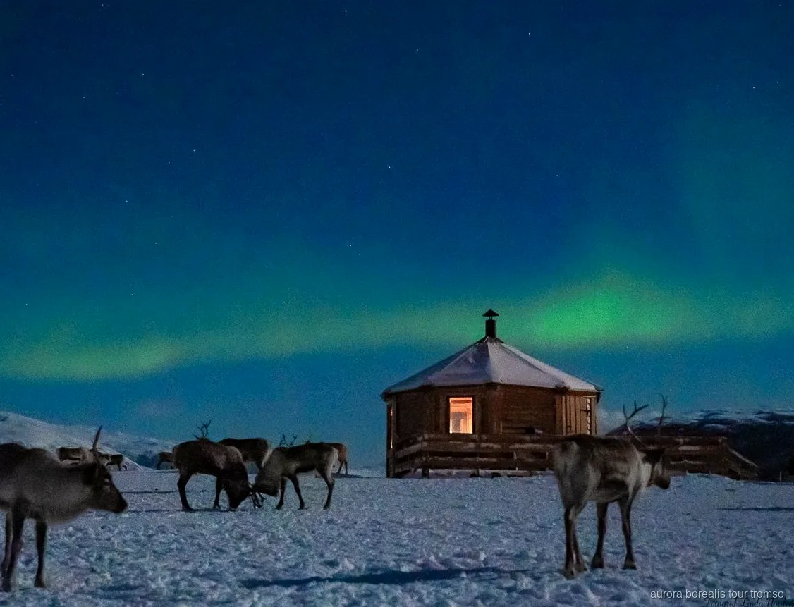 Gamme iluminada con velas usada para entrar en calor en el tour de trineo de renos de Tromsø