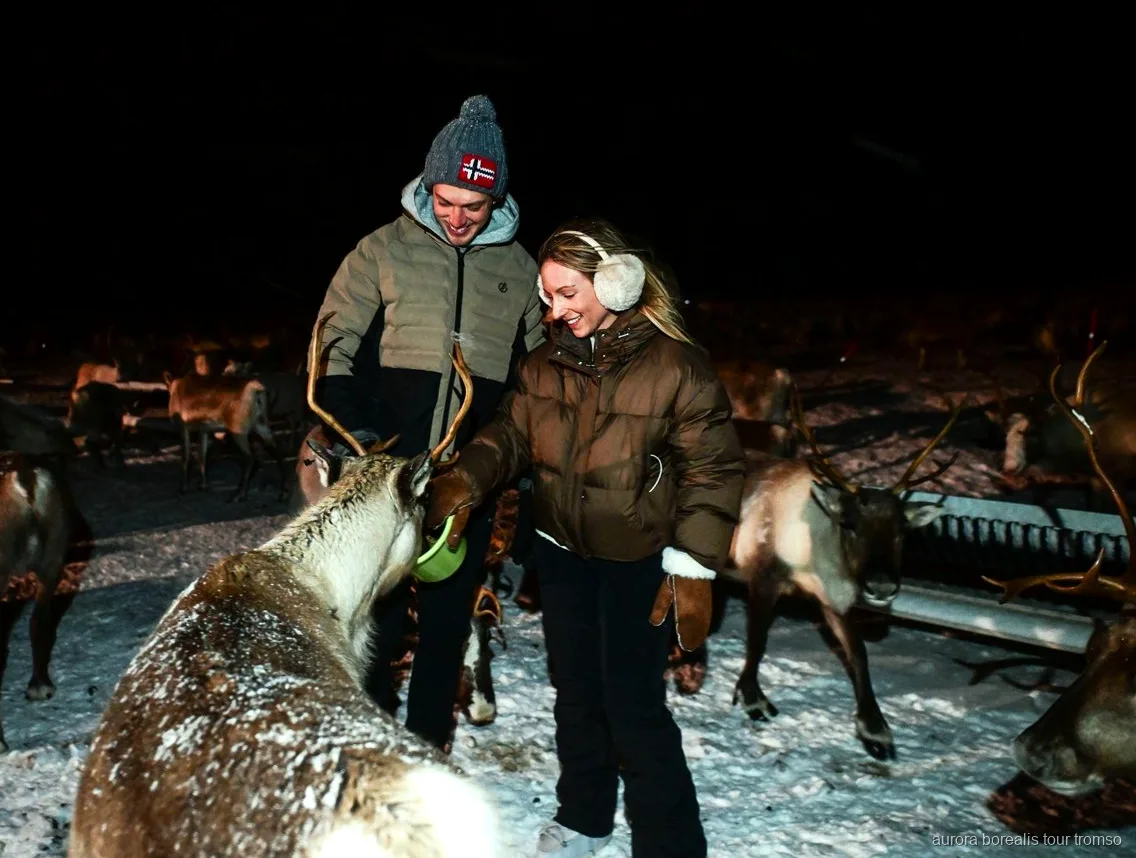 Guia sami interpretant un joik vora el foc a prop de Tromsø