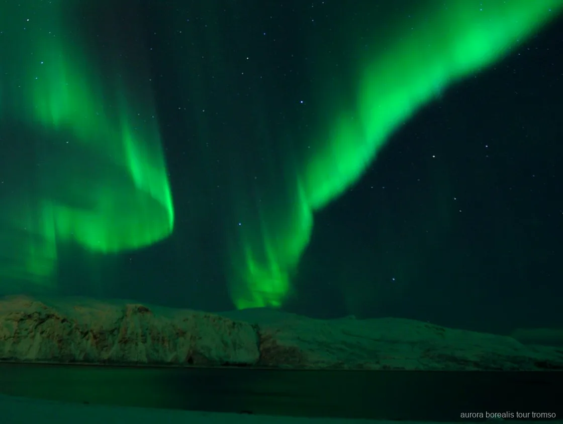 Marshmallows roasting over the fire on the Tromso Northern Lights dinner tour
