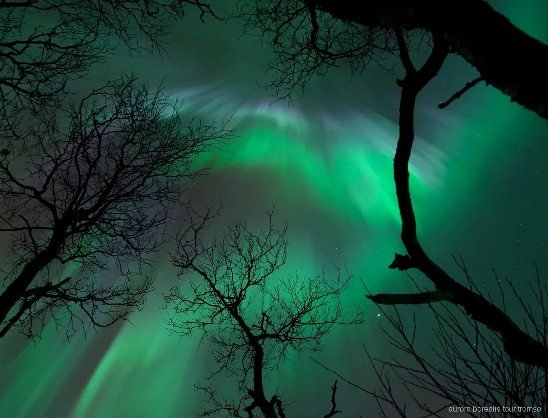 Guide taking a professional portrait under the Northern Lights near Tromso