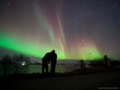 Beheizter Bus der Tromsø Unbegrenzten Nordlichtjagd