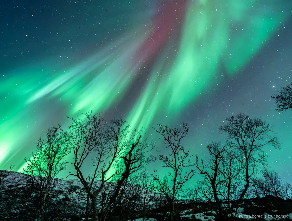 Goście fotografujący zorzę polarną z instrukcją przewodnika w pobliżu Tromso